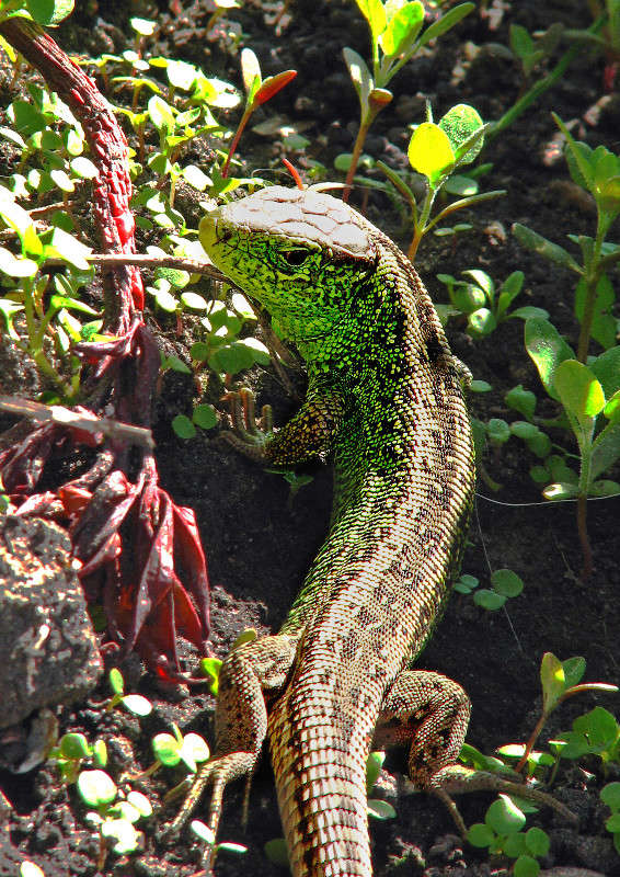 ... ����� ������ �������� �� PhotoGeek.ru #�������� ���