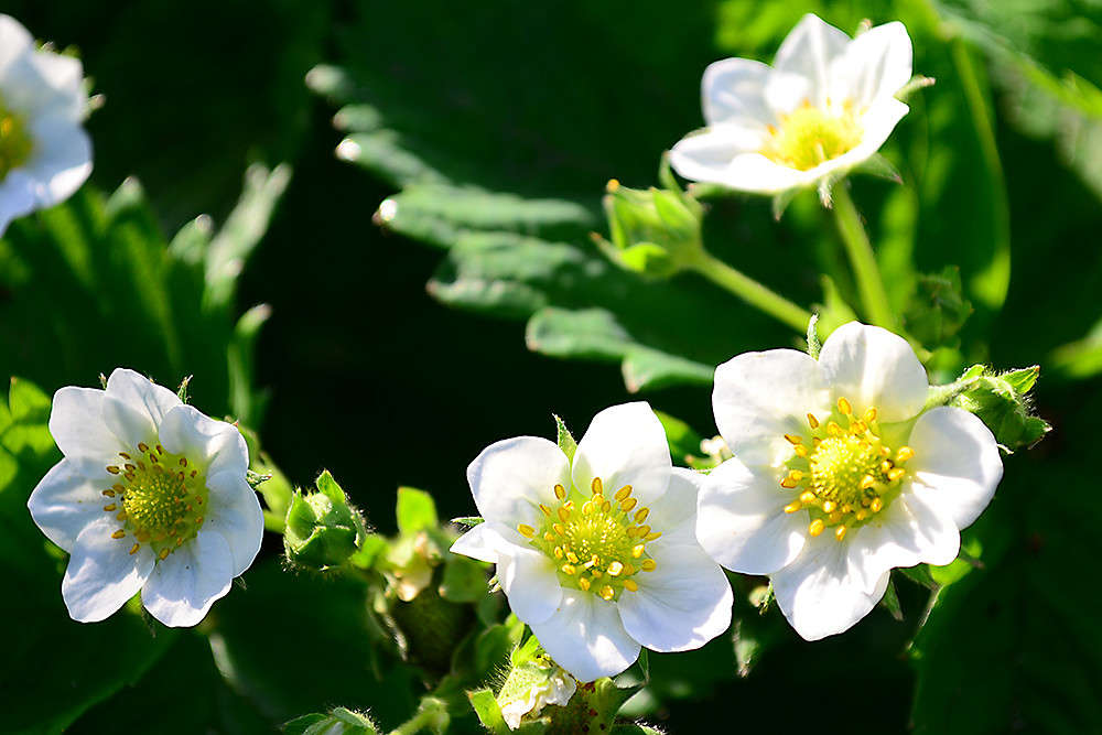 ... ����� ����� ���� �� PhotoGeek.ru #����� #����� ��������������