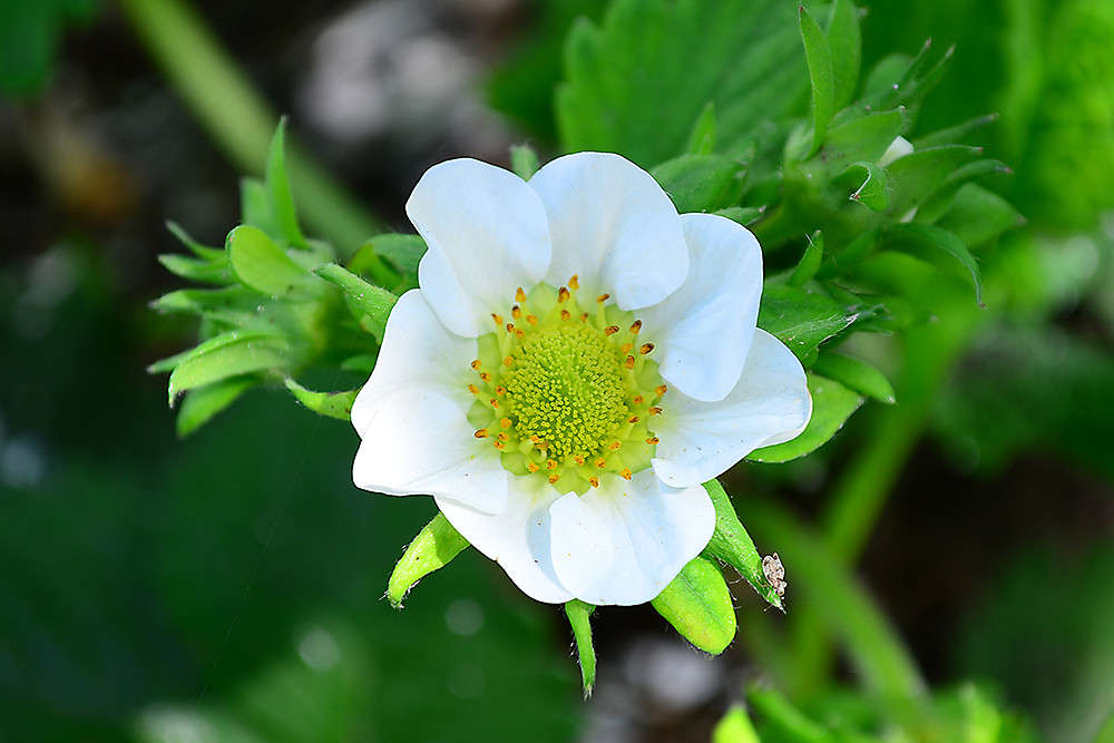 ... ����� ����� ���� �� PhotoGeek.ru #����� #����� ��������������