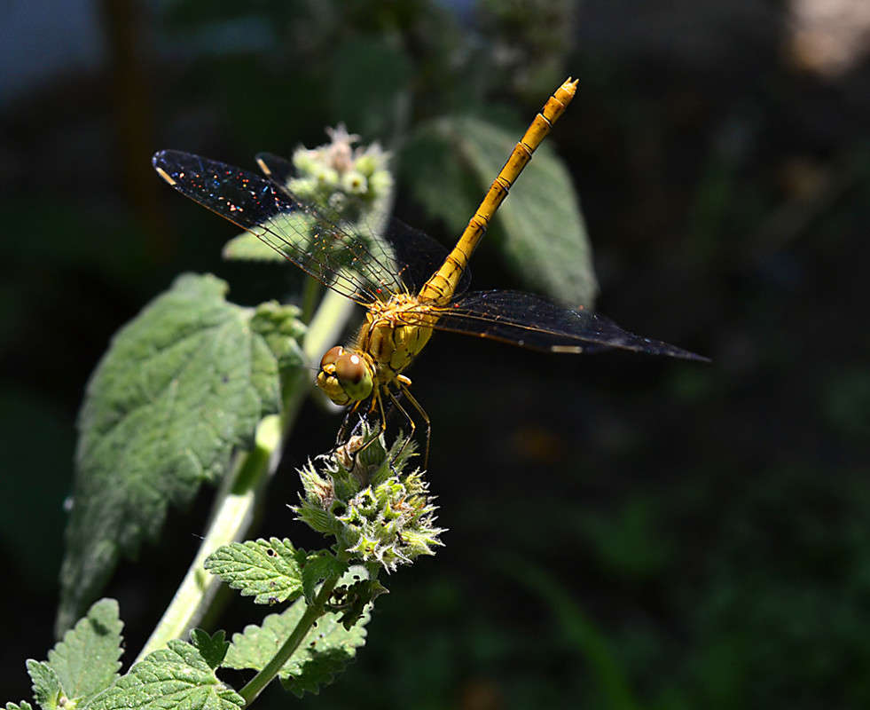 ... ����� ����� ���� �� PhotoGeek.ru #����� #���������