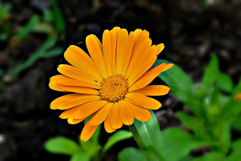 ... ����� ����� ���� �� PhotoGeek.ru #����� #����� ��������������