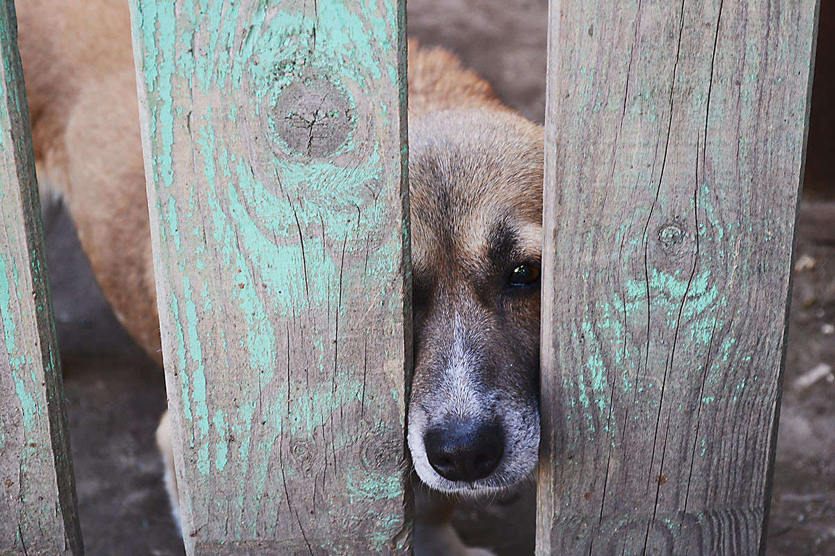 � ������ ��� �� ����! ����� ����� ���� �� PhotoGeek.ru #�������� ��� #�������� ���