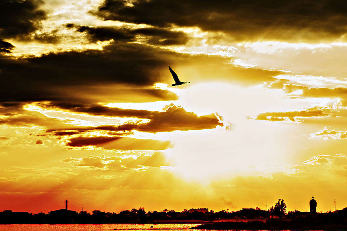 ������ ������... ����� ����� ���� �� PhotoGeek.ru #������ ��� �������