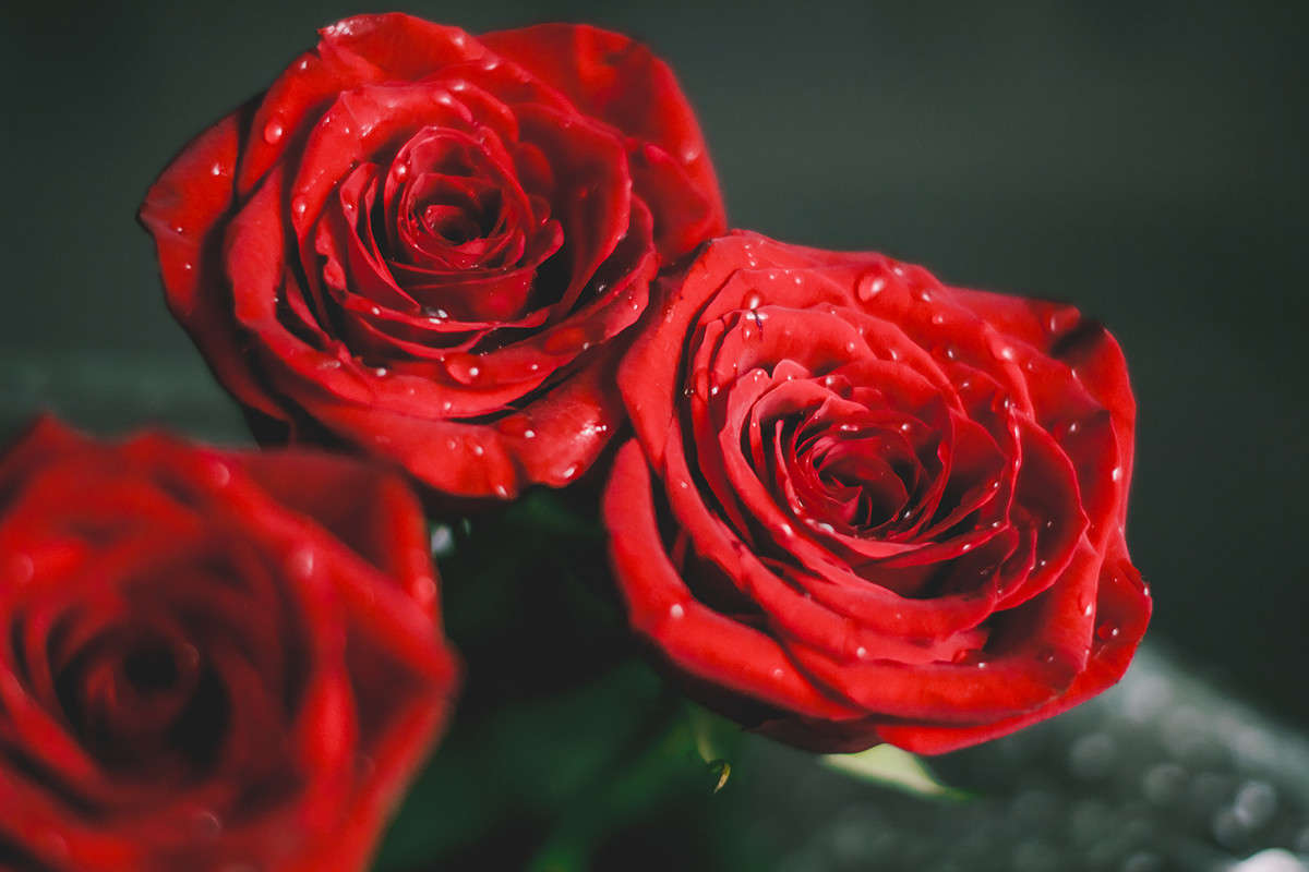 ... ����� ����� ���� �� PhotoGeek.ru #���������