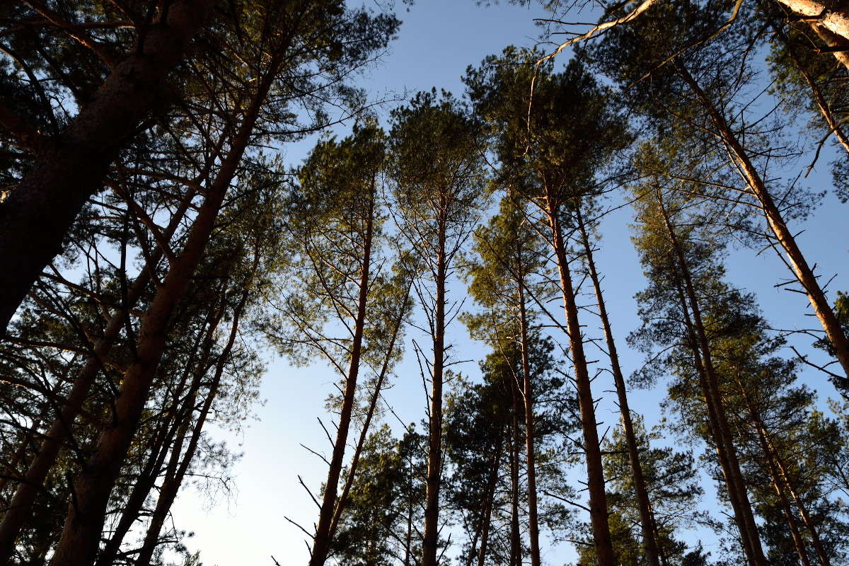 ... ����� ���� �� �� PhotoGeek.ru #������ ��� �������