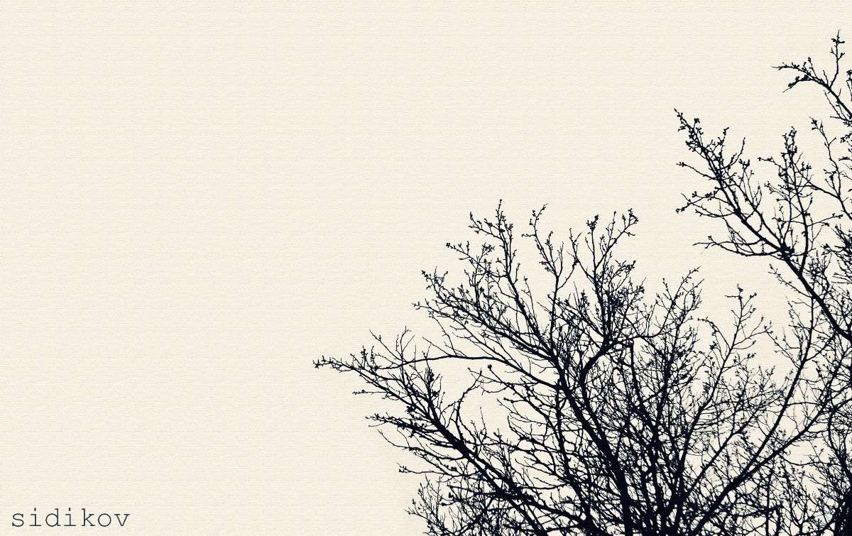 ������ ����� Jahongir Sidikov �� PhotoGeek.ru #������ ��� ������� #�����-�����