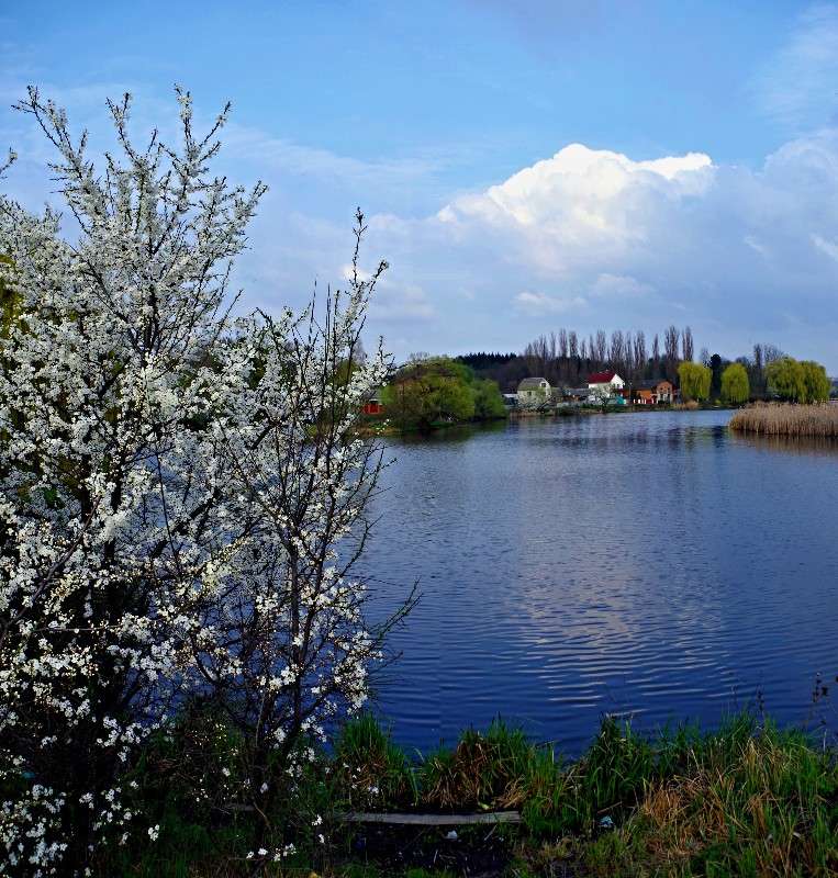 ����� ����� ���� ������ �� PhotoGeek.ru #�������� ����������