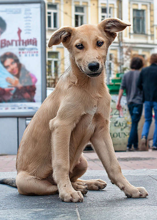 ���� ����� Oleg Chichkin �� PhotoGeek.ru #�������� ���