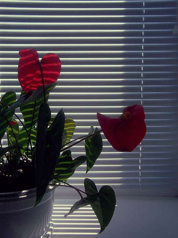 ... ����� Timoteo Cirkla �� PhotoGeek.ru #������ #��������� #�����