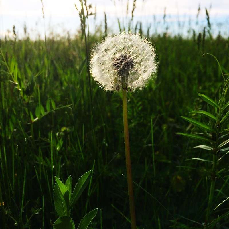 ��������� ����� ������� ������� �� PhotoGeek.ru #������ ��� ������� #����� �������������� #������ #����� ��������