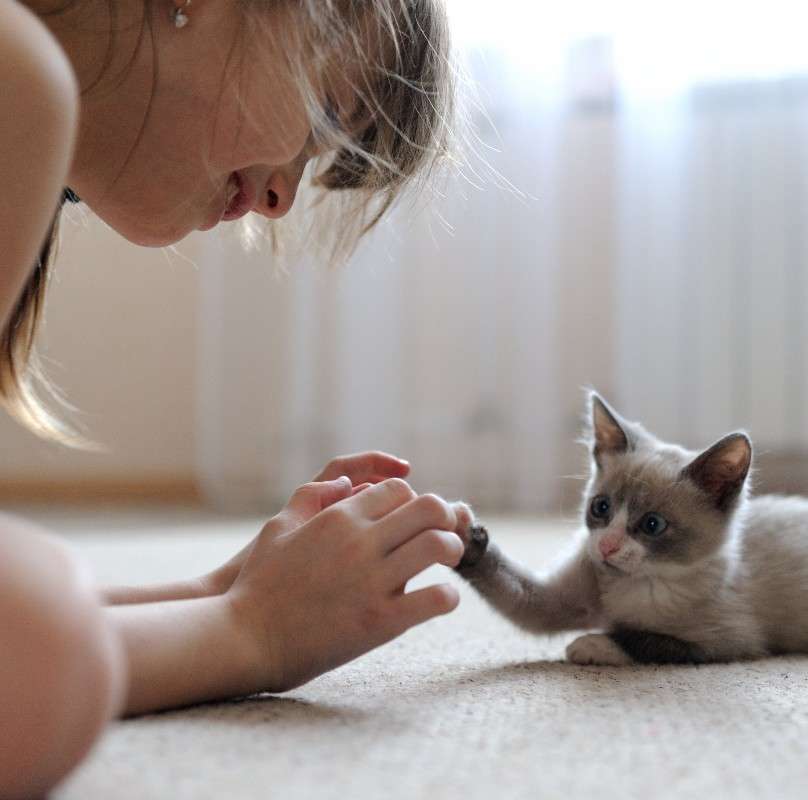 ������ �����. ����� ����� ���������� �� PhotoGeek.ru #�������� ����������