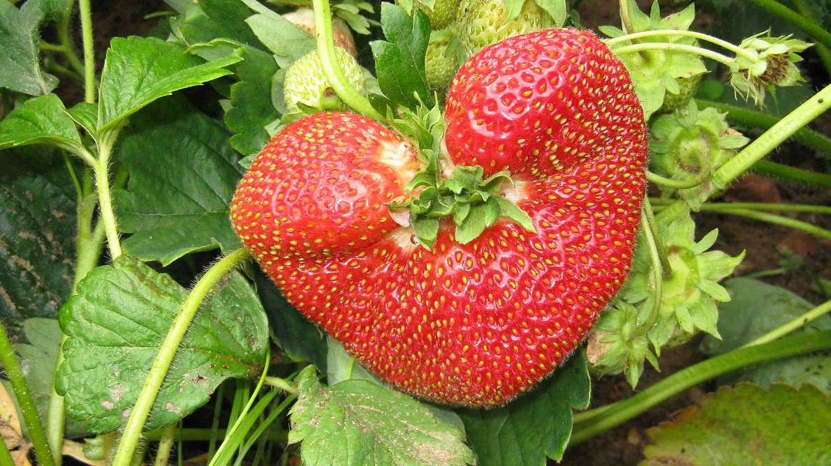 ���������� ������ ����� ������� �������� �� PhotoGeek.ru #������ ��� �������