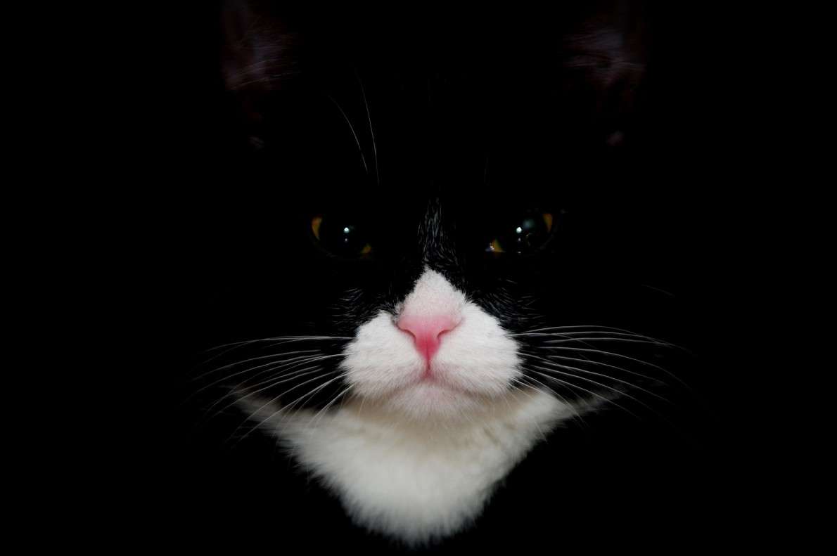 ... ����� �����  �� PhotoGeek.ru #�������� ���