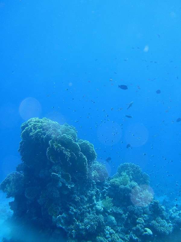 ������ ����� �����  �� PhotoGeek.ru #������ ��� �������