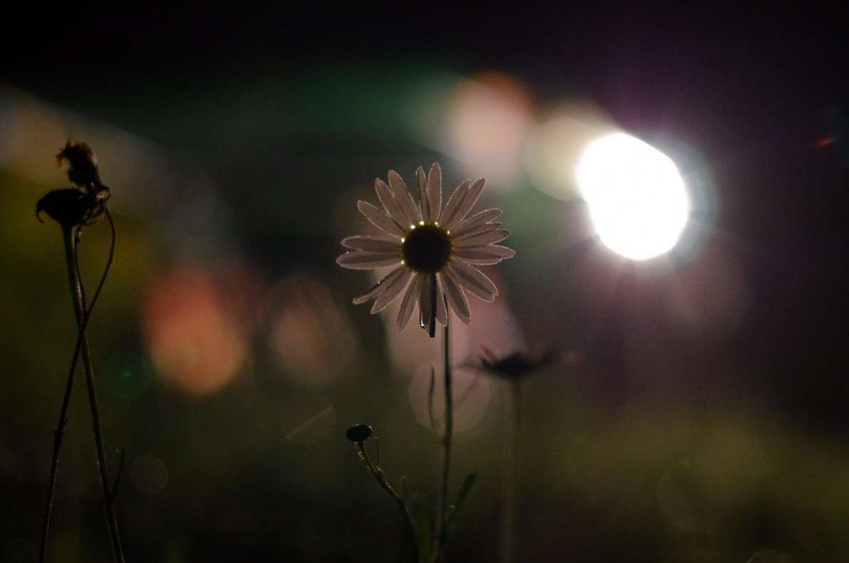 ... ����� �����  �� PhotoGeek.ru #������ ��� �������