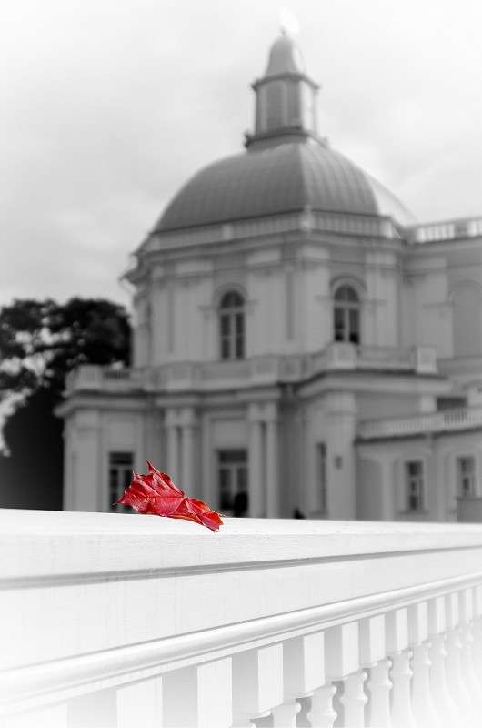 ... ����� �����  �� PhotoGeek.ru #������ ��� �������