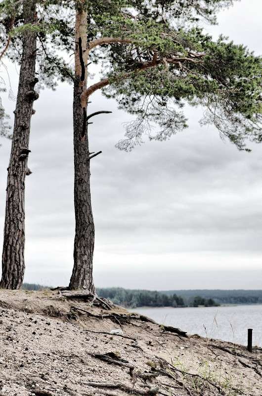 �� ������ ����� �����  �� PhotoGeek.ru #������ ��� �������