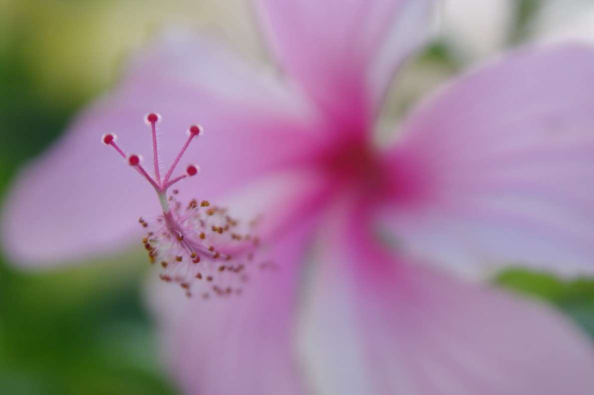 ... ����� �����  �� PhotoGeek.ru