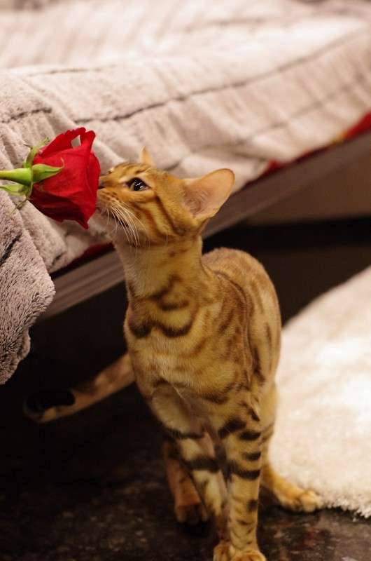 ���� � ����������� ����� �����  �� PhotoGeek.ru