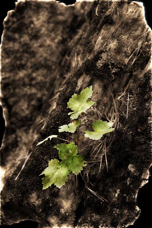 ... ����� �����  �� PhotoGeek.ru #������ ��� �������