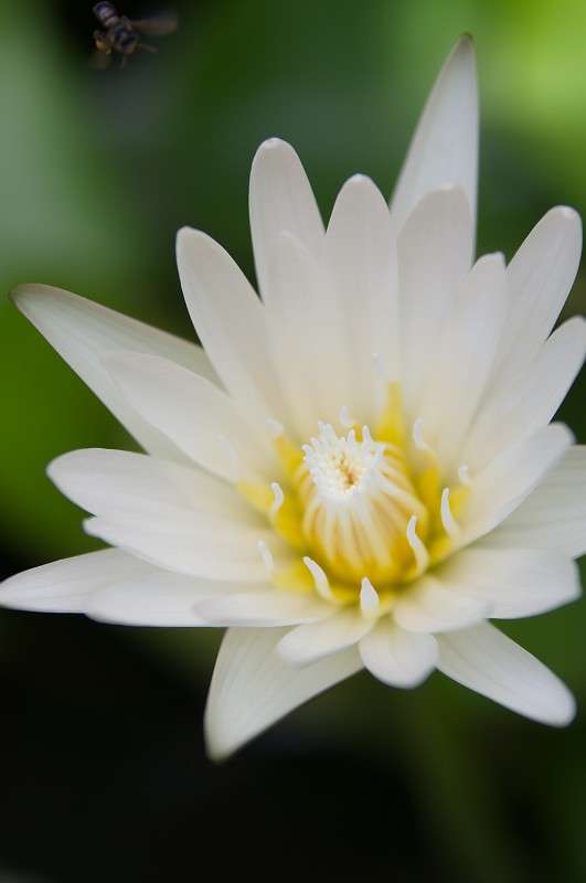 ... ����� �����  �� PhotoGeek.ru #������ ��� ������� #����� ��������������