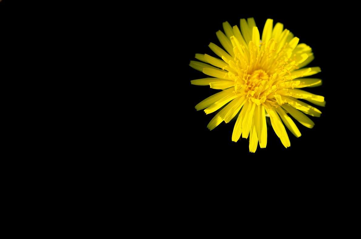 ��� ����� � ������ ������� ����� �����  �� PhotoGeek.ru #������ ��� ������� #����� ��������������