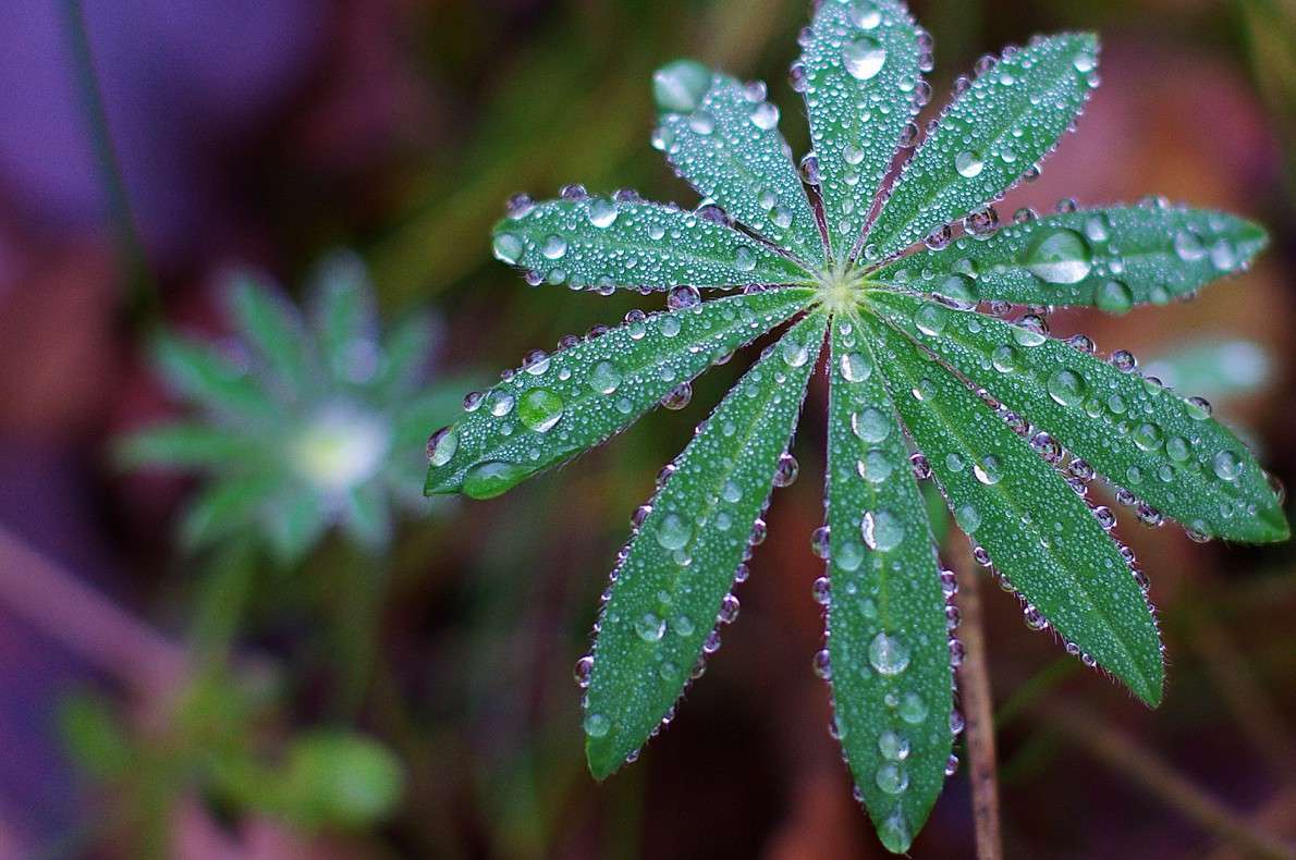 ... ����� �����  �� PhotoGeek.ru #������ ��� ������� #����� ��������������