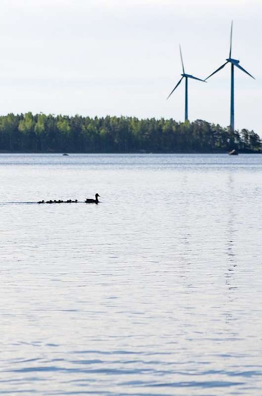 ... ����� �����  �� PhotoGeek.ru #�������� ��� #������ ��� ������� #������