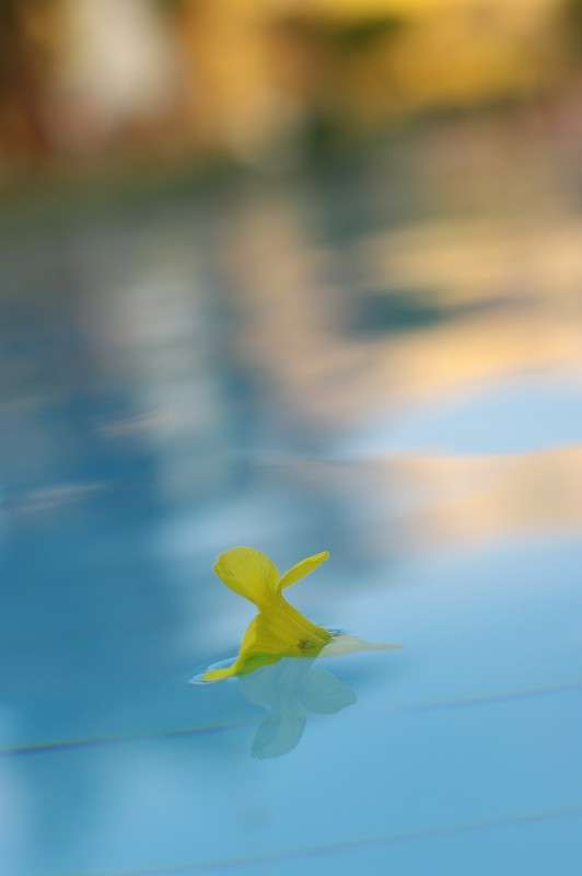 ... ����� �����  �� PhotoGeek.ru #������ ��� ������� #����� ��������������