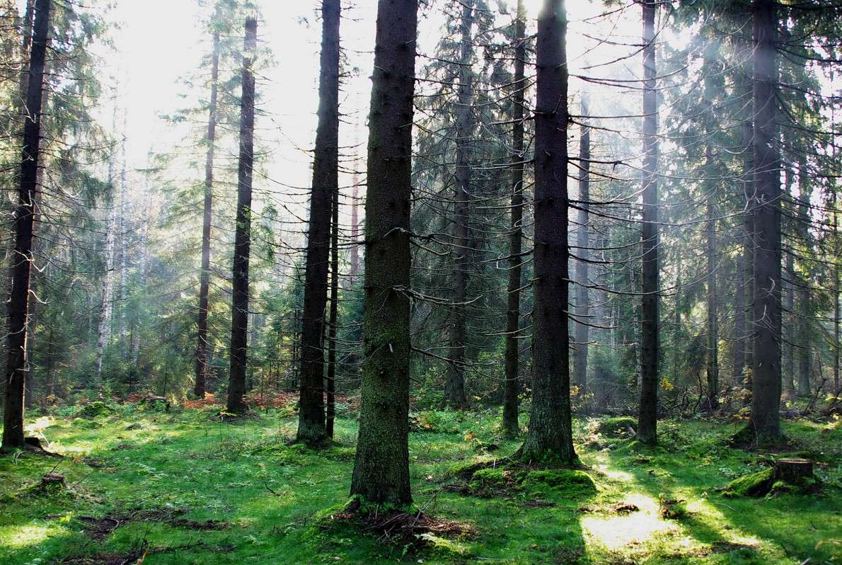 ... ����� �����  �� PhotoGeek.ru #������ ��� ������� #����� ��������������