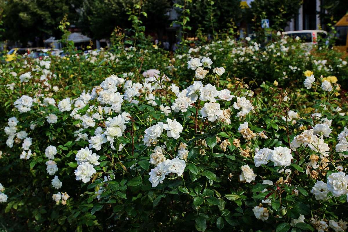 �������� ����. ����� ���������  �� PhotoGeek.ru #����� #������ ��� ������� #���������. TS. #������ ���� #����� ��������������