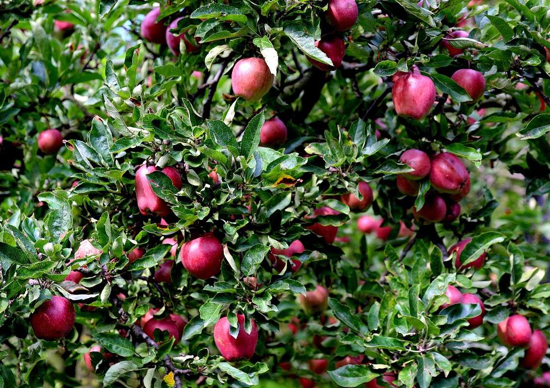 ������. ����� ���������  �� PhotoGeek.ru #����� #���������. TS. #������ ���� #����� ��������������