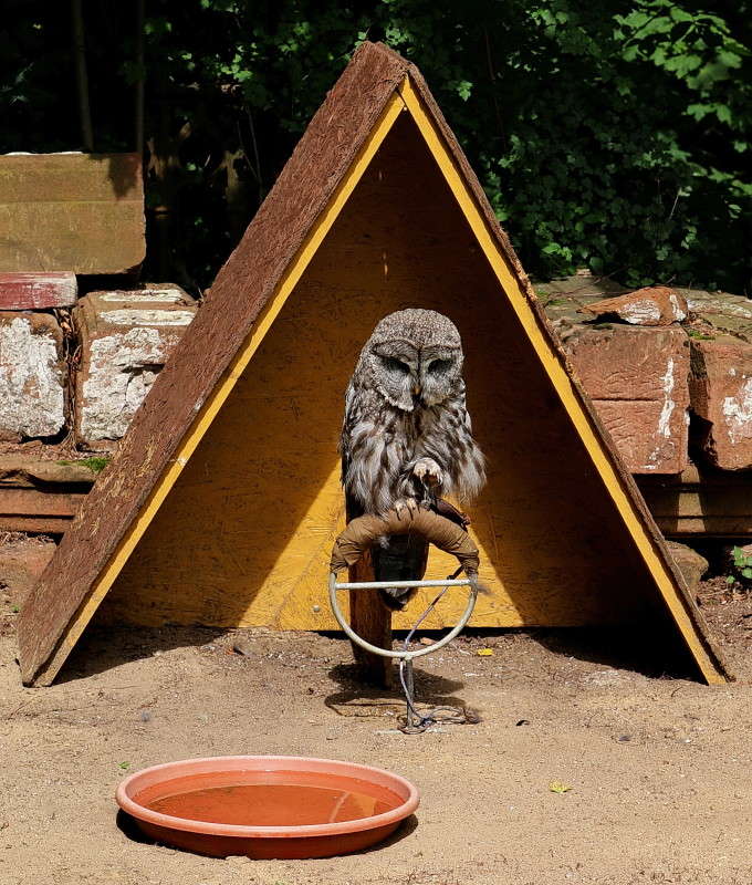 ... ����� ���������  �� PhotoGeek.ru #�������� ���