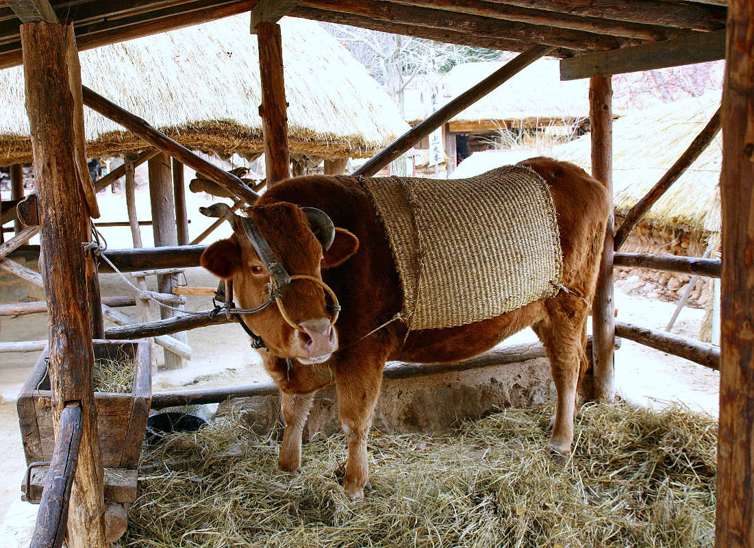 ����������� ��������� �������., ����� ���������  �� PhotoGeek.ru #�������� ��� #Ale-cygelnyuk #����������� ��������� �������.