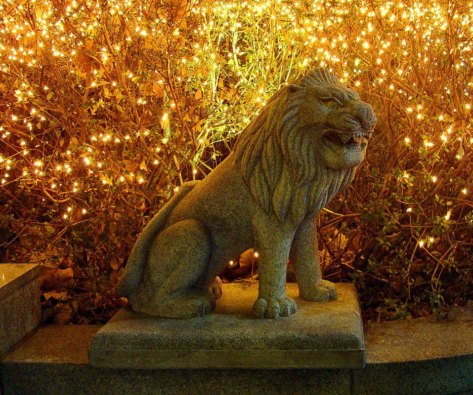 �������� ���. ����� ���������  �� PhotoGeek.ru #�������� ���������� #�����������