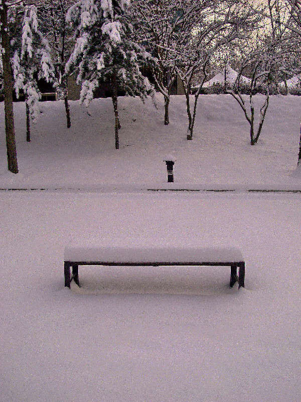 ������ � �����. ����� ���������  �� PhotoGeek.ru #����� #��������