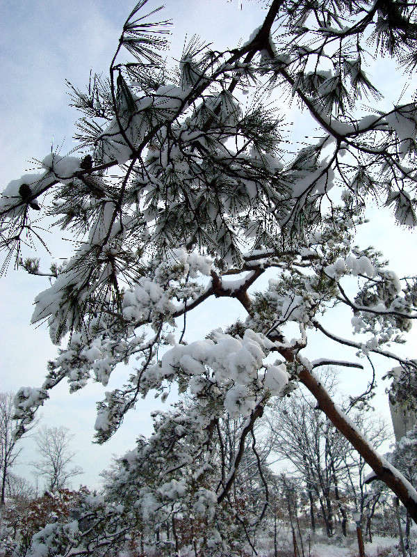 *** ����� ���������  �� PhotoGeek.ru #����� #��������