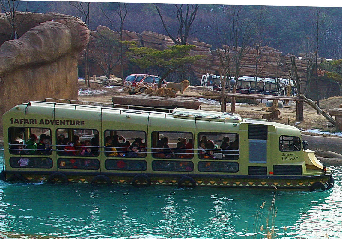 Everland, ���� (�������� ����) ����� ���������  �� PhotoGeek.ru #�������� #Ale-cygelnyuk #Everland #���� (�������� ����)