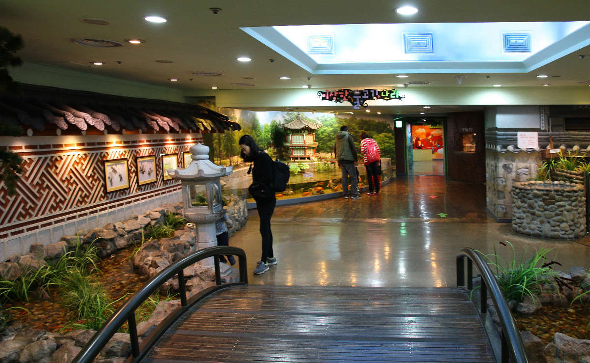 COEX Aquarium ����� ���������  �� PhotoGeek.ru #�������� ��� #���-�����������