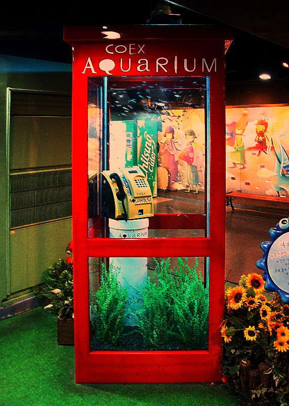 ��������-���������� �����. ����� ���������  �� PhotoGeek.ru #�������� ��� #���-�����������