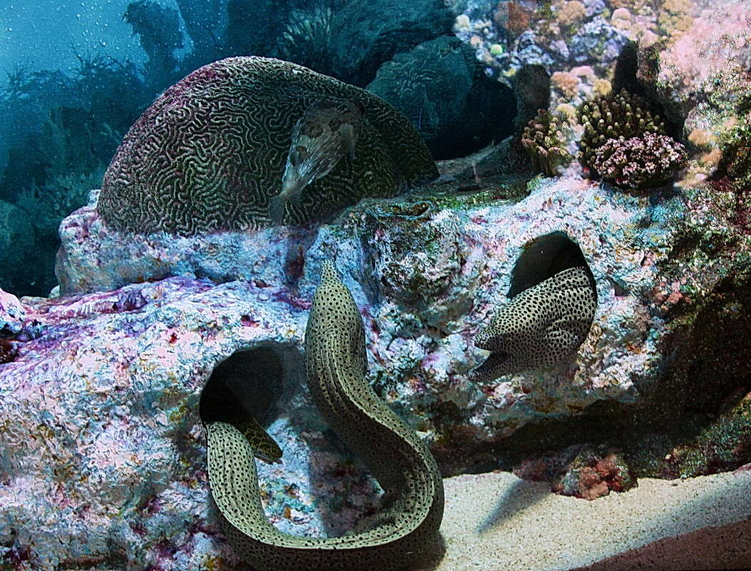 ������-�������! ����� ���������  �� PhotoGeek.ru #�������� ���