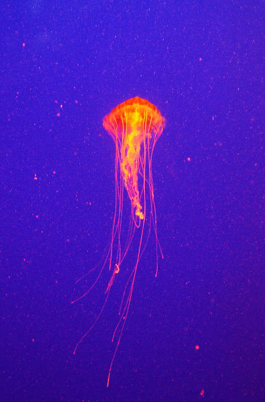 *** ����� ���������  �� PhotoGeek.ru #�������� ���