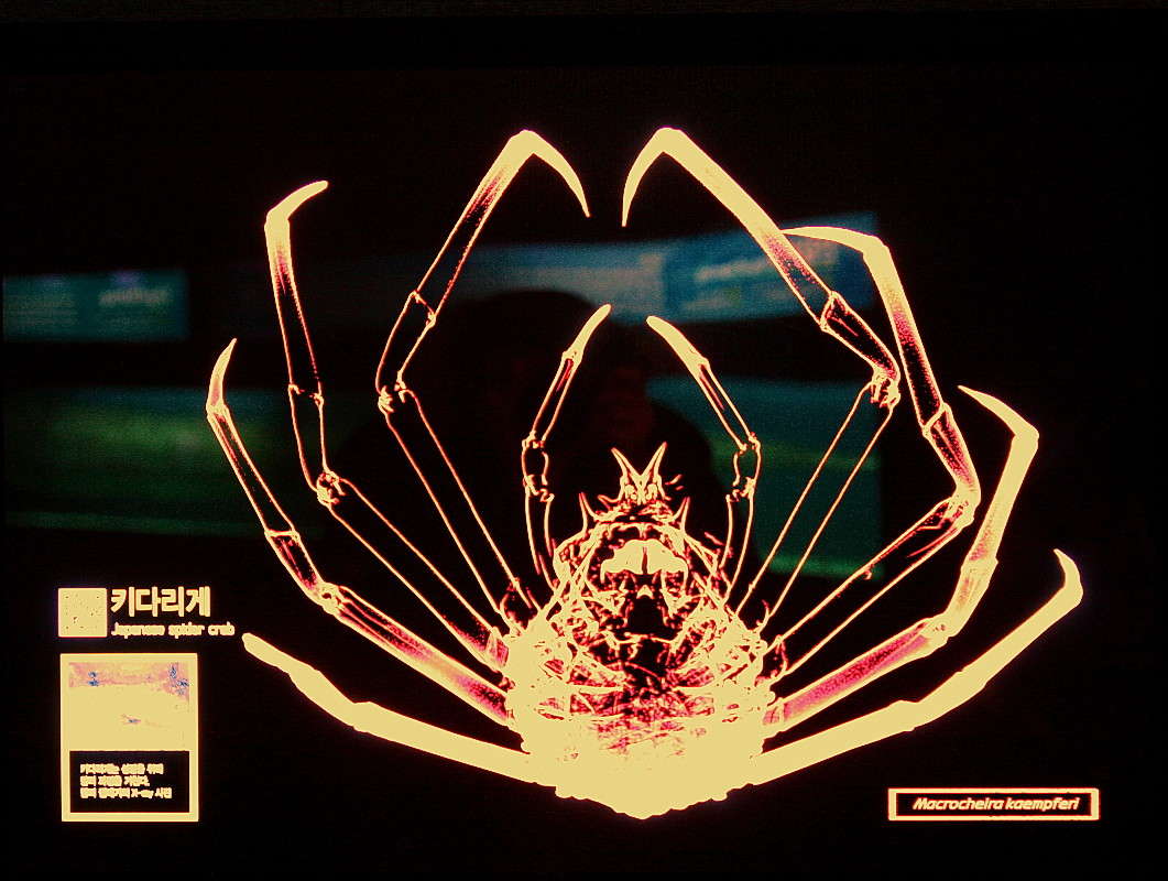 *** ����� ���������  �� PhotoGeek.ru #�������� ���