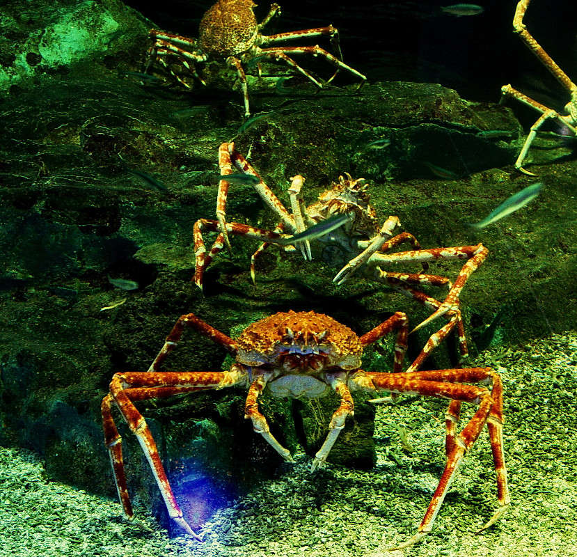 *** ����� ���������  �� PhotoGeek.ru #�������� ���