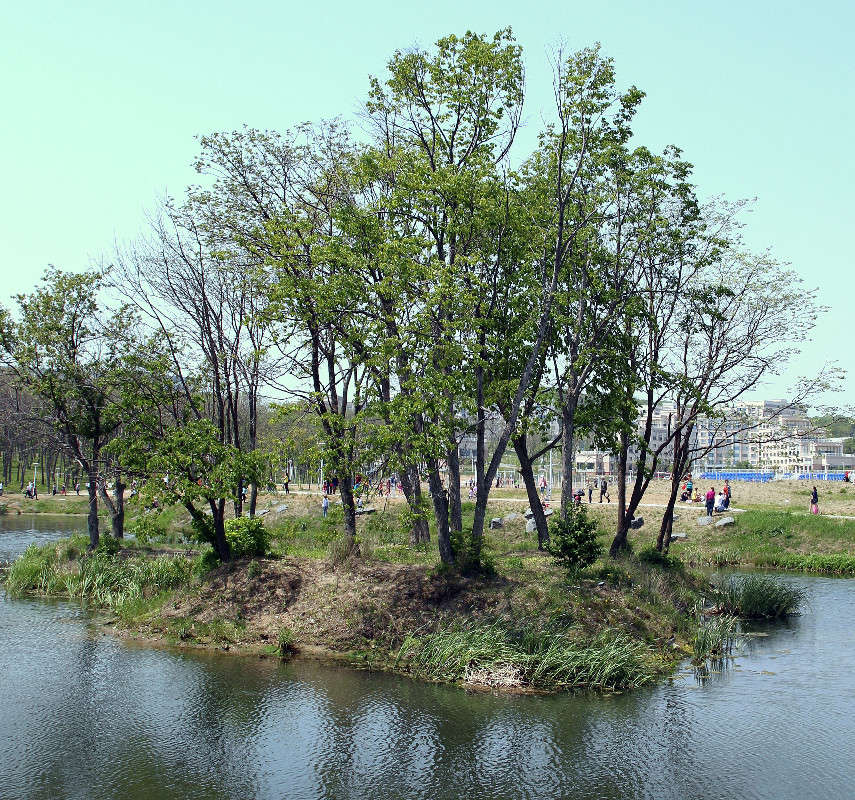 ��������. ����� ���������  �� PhotoGeek.ru #����� #������ ��� ������� #���������. TS.