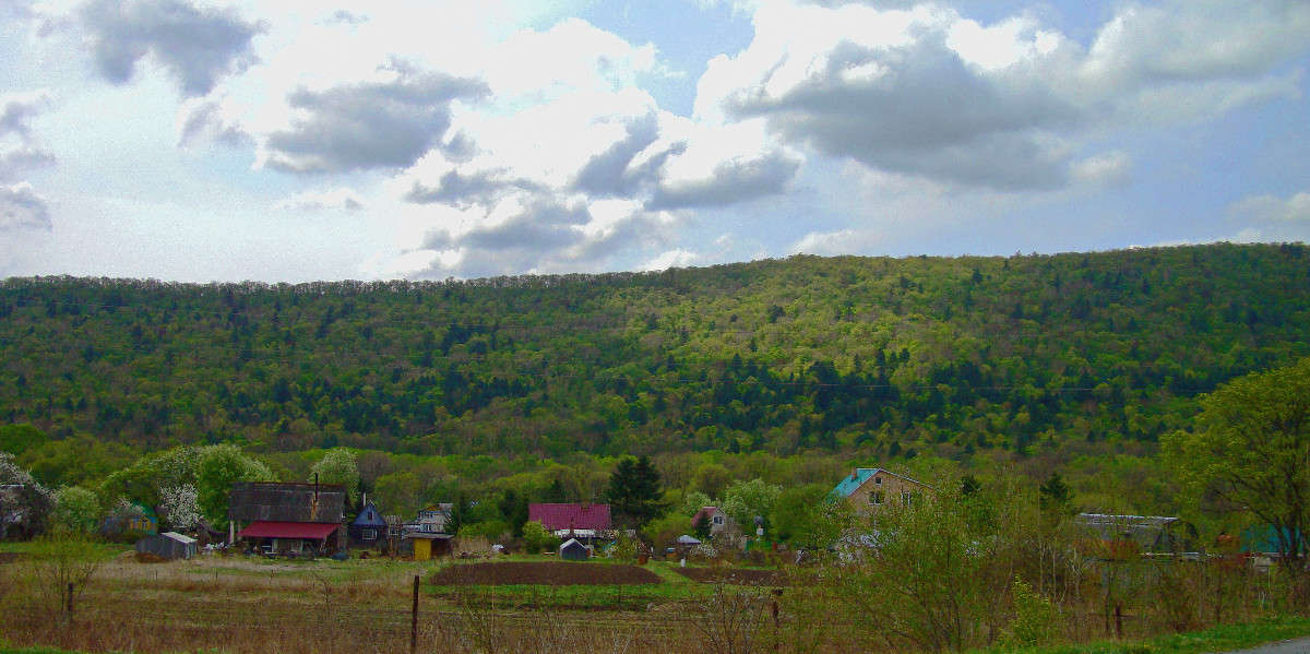 *** ����� ���������  �� PhotoGeek.ru #������ ��� �������