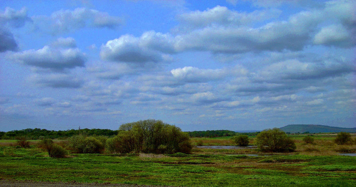 *** ����� ���������  �� PhotoGeek.ru #������ ��� �������