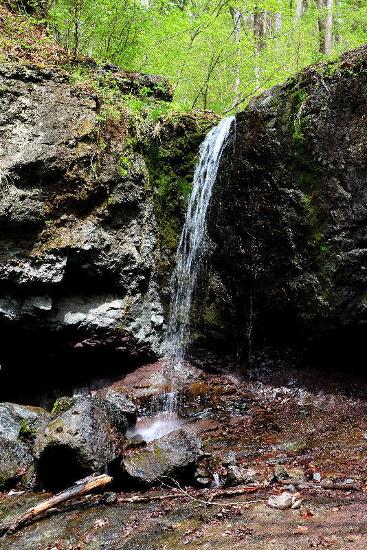 ����������� ��������. ����� ���������  �� PhotoGeek.ru #������ ��� �������