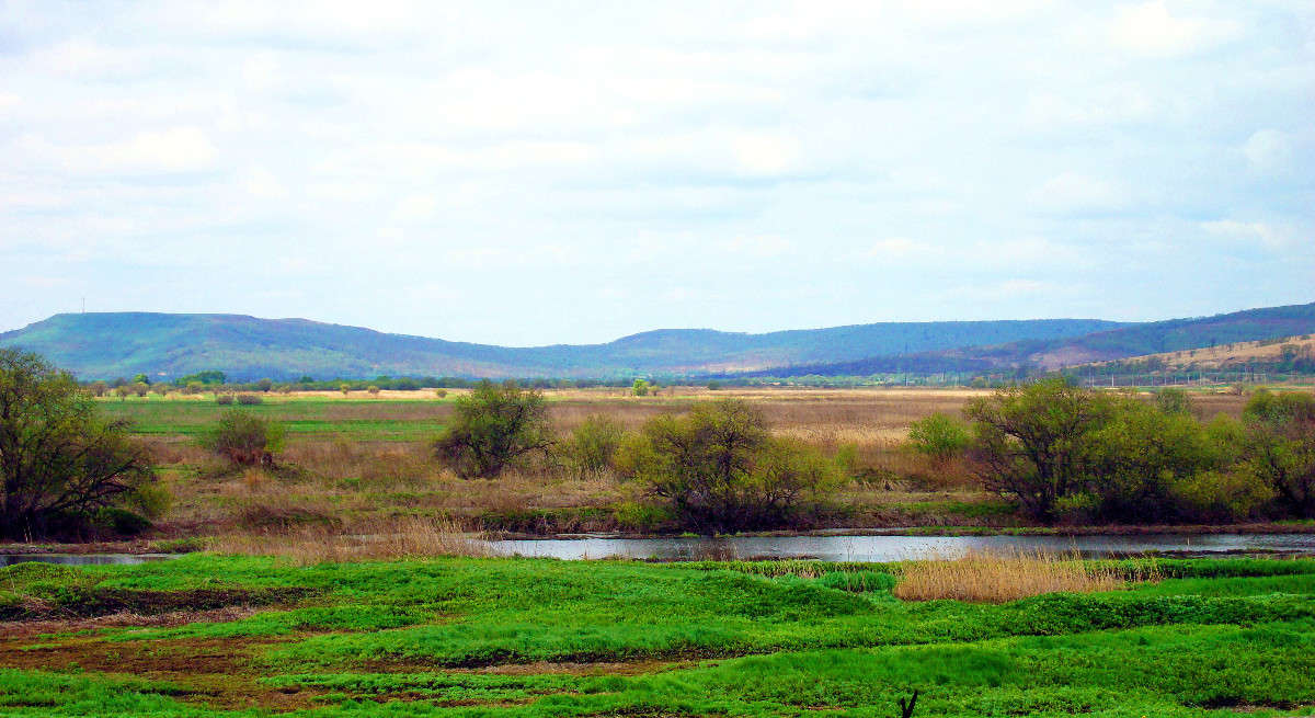 *** ����� ���������  �� PhotoGeek.ru #������ ��� �������