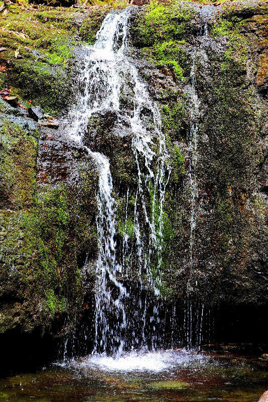 *** ����� ���������  �� PhotoGeek.ru #������ ��� �������